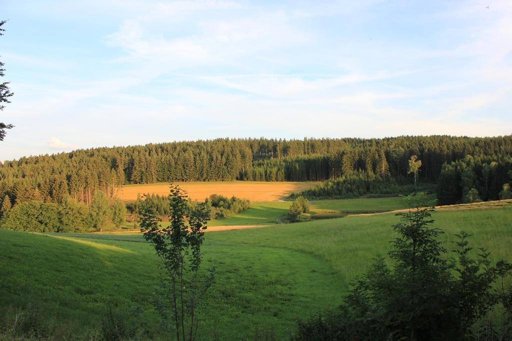 Landgasthof Haueis Marktleugast Zewnętrze zdjęcie